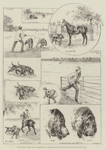 警視庁長官チャールズウォーレン卿、ハイドパークでブラッドハウンドに挑戦 作： Louis Wain